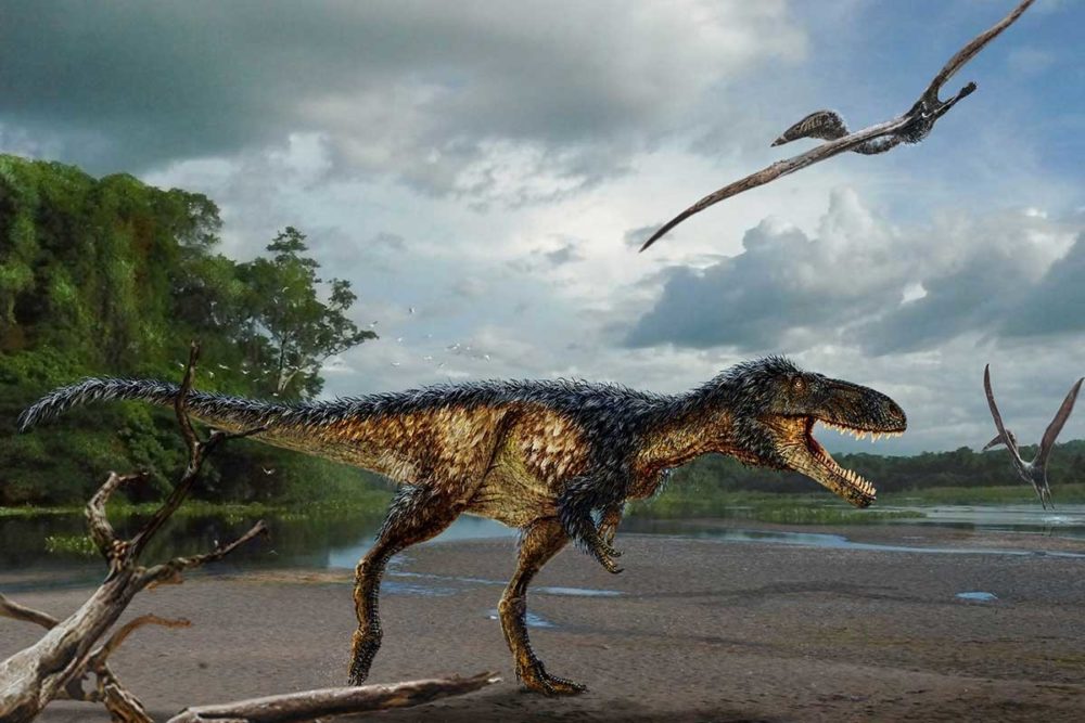 Gigante inteligente: tiranossauro rex tinha capacidade cerebral de primatas