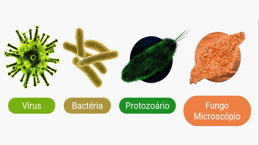 Microrganismos: Saúde e Meio Ambiente